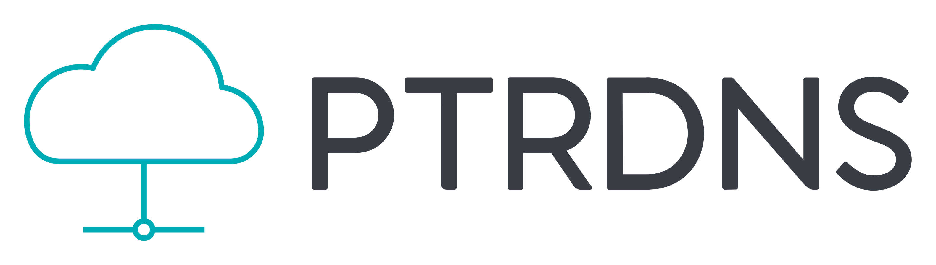 PTRDNS