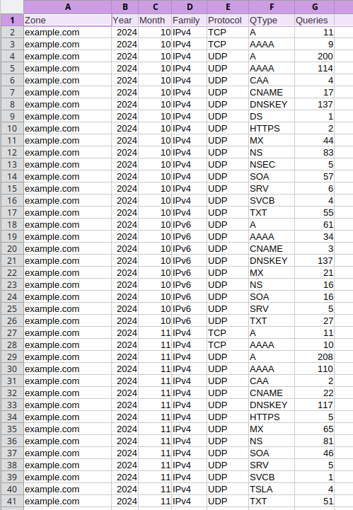 Spreadsheet showing query metrics by zone, year, month, network family, network protocol and query type.